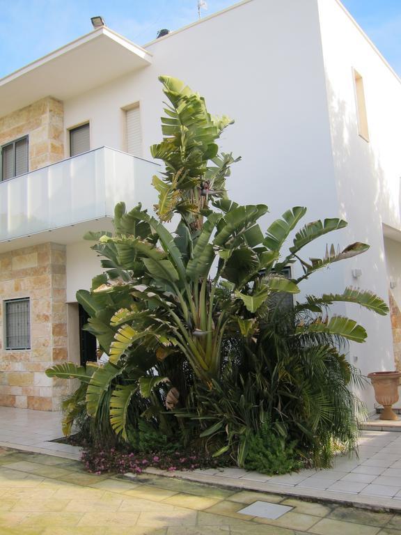 B&B Neptunia Fronte Mare Torre Specchia Ruggeri Exteriör bild